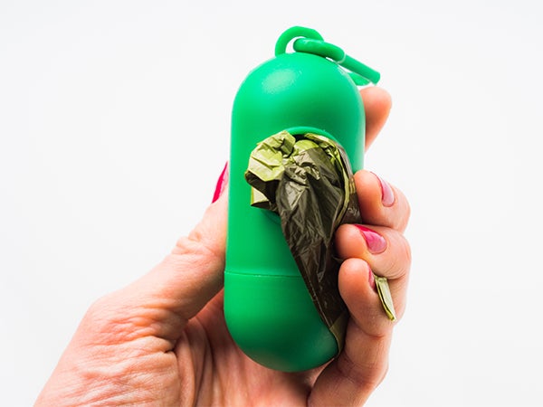 eco friendly compostable dog waste poop bags, Reasons to Recycle for Your Pet
