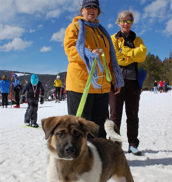 dog hiking and skiing, dog food, cat food, wellness pet food, healthy pet food