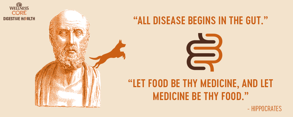 hippocrates pet digestive health - The Importance of Gut Health for Dogs and Cats