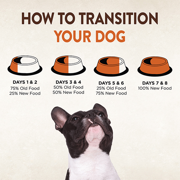 how to transition a dog to a high protein food