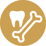 healthy teeth & bones icon