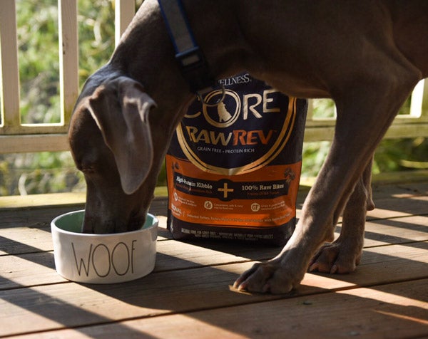 josh rawrev, first time pet owner, core+ for dogs