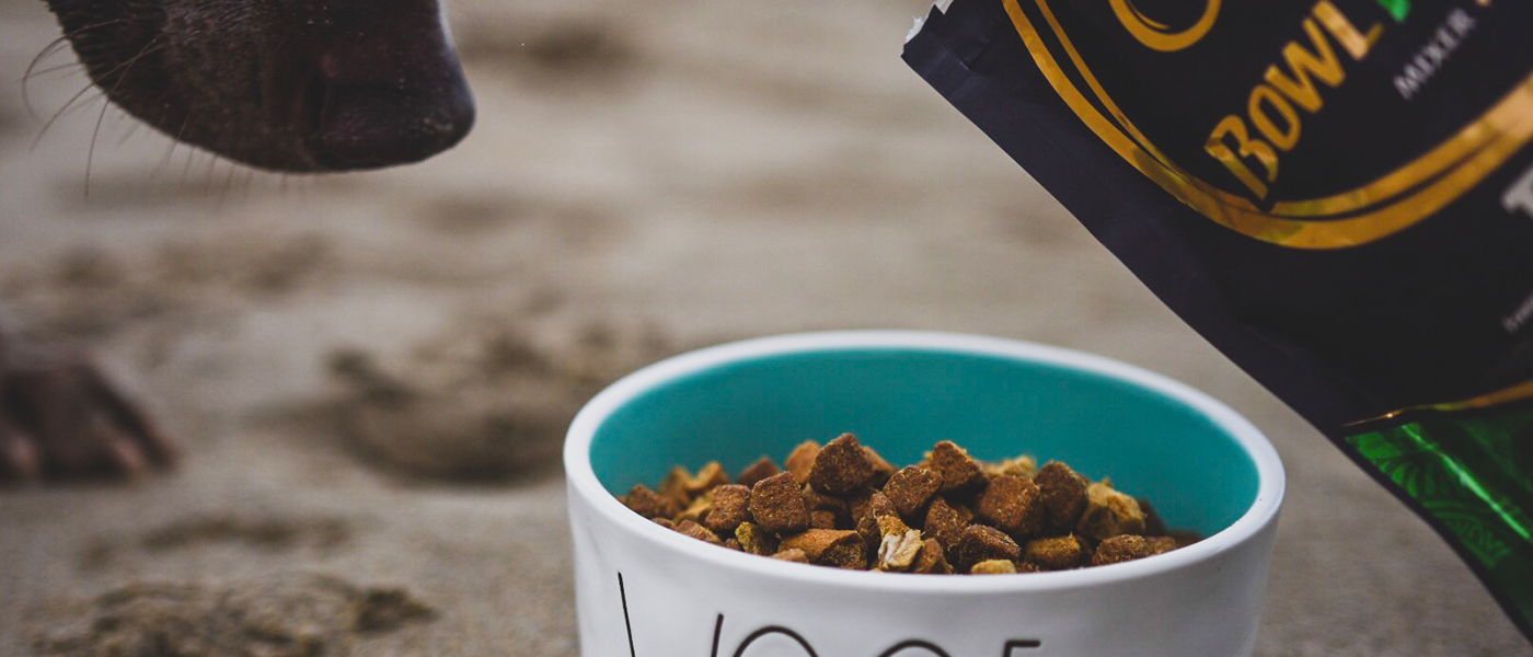 Transition to Wet Dog Food or Dry Foods Wellness Pet Food