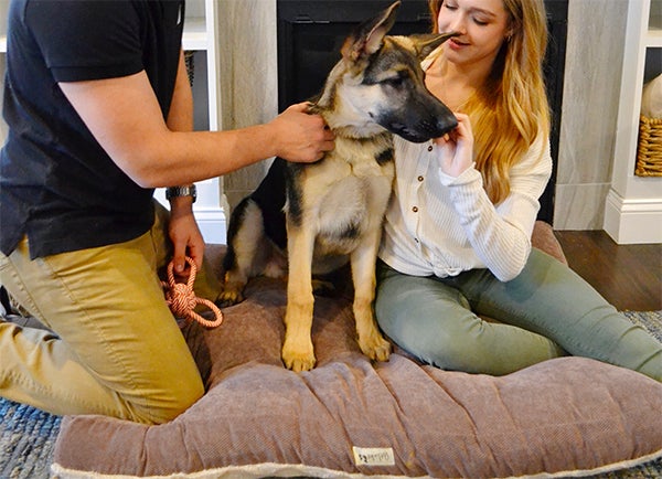 large breed puppy with pet parents - Best Dog Food For Large Breed Puppies