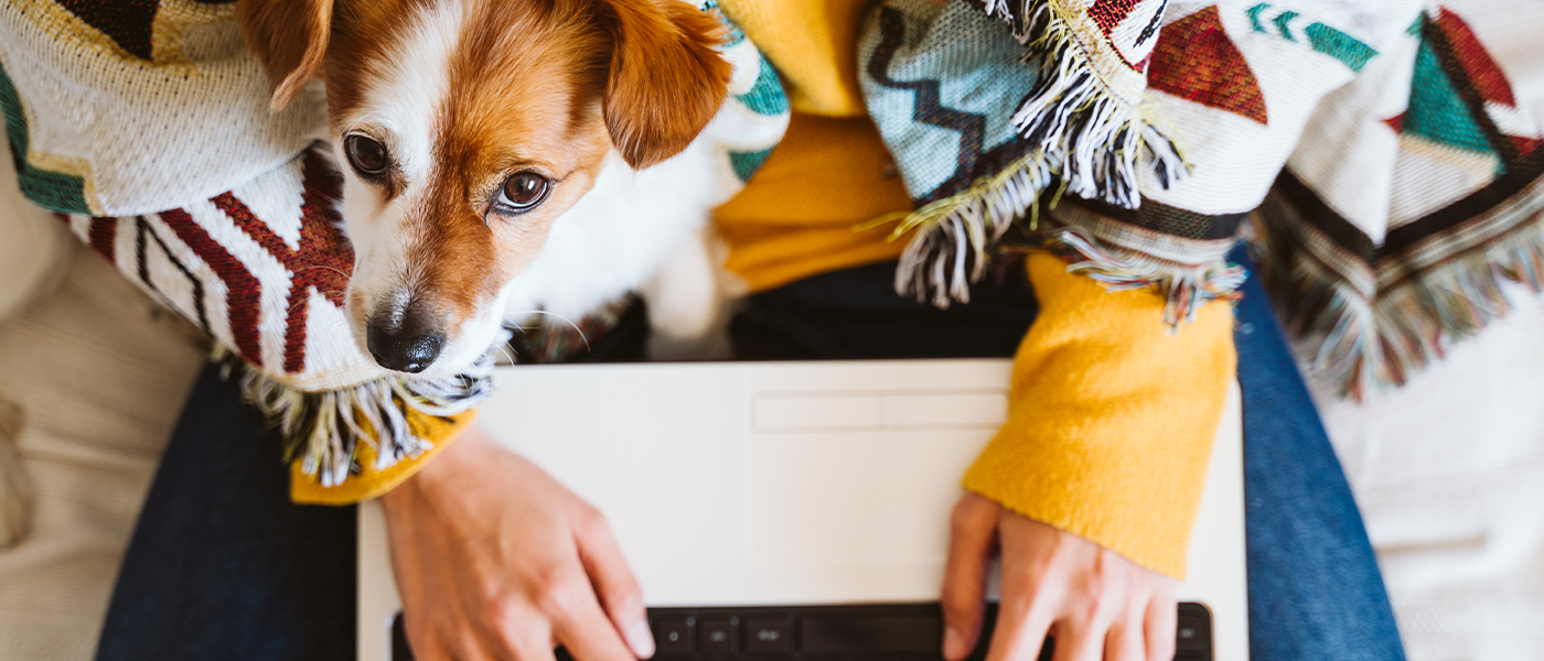 overcoming-challenges-first-time-puppy-owner-guide-wellness