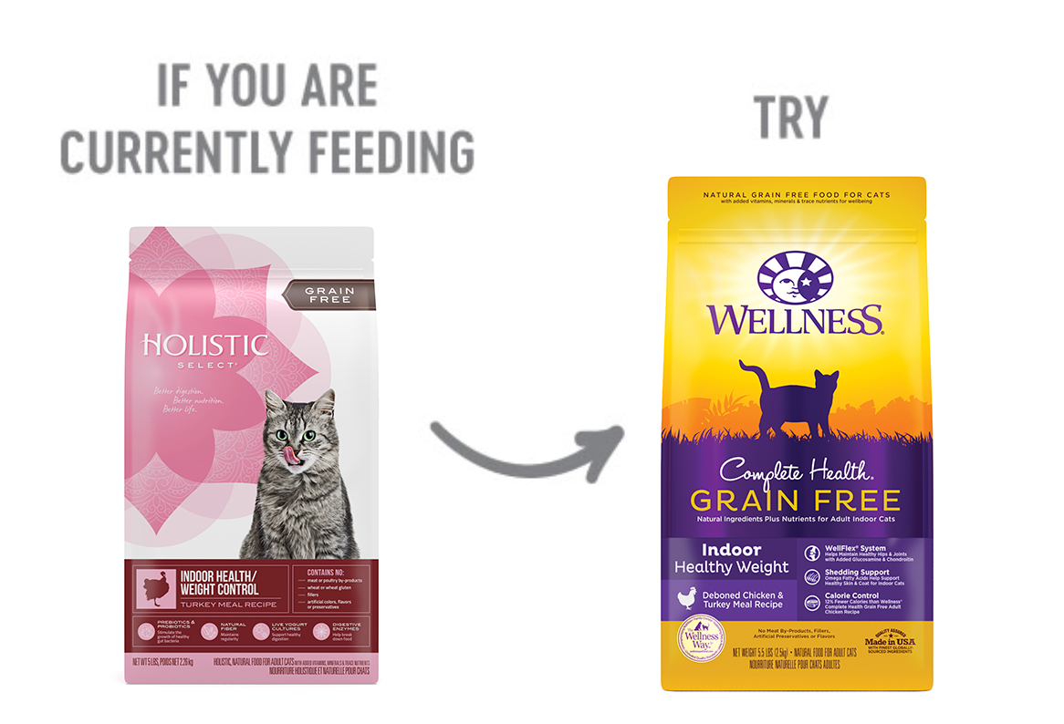 Holistic select dry cat food 2025