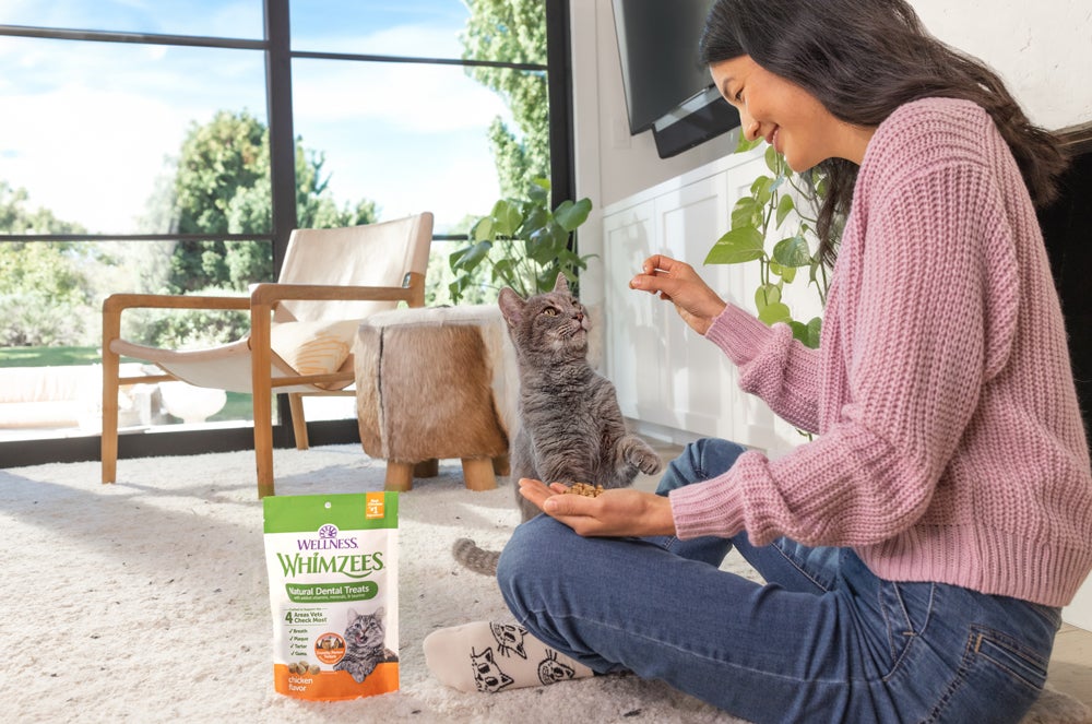 happy pet owner feeding cat a treat