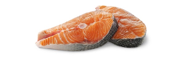 Salmon