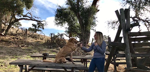 woman training her dog