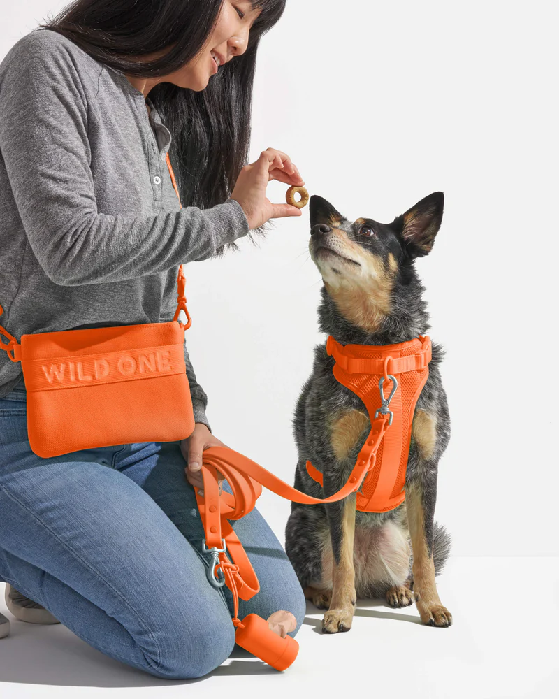 Wild One Dog Treat Pouch