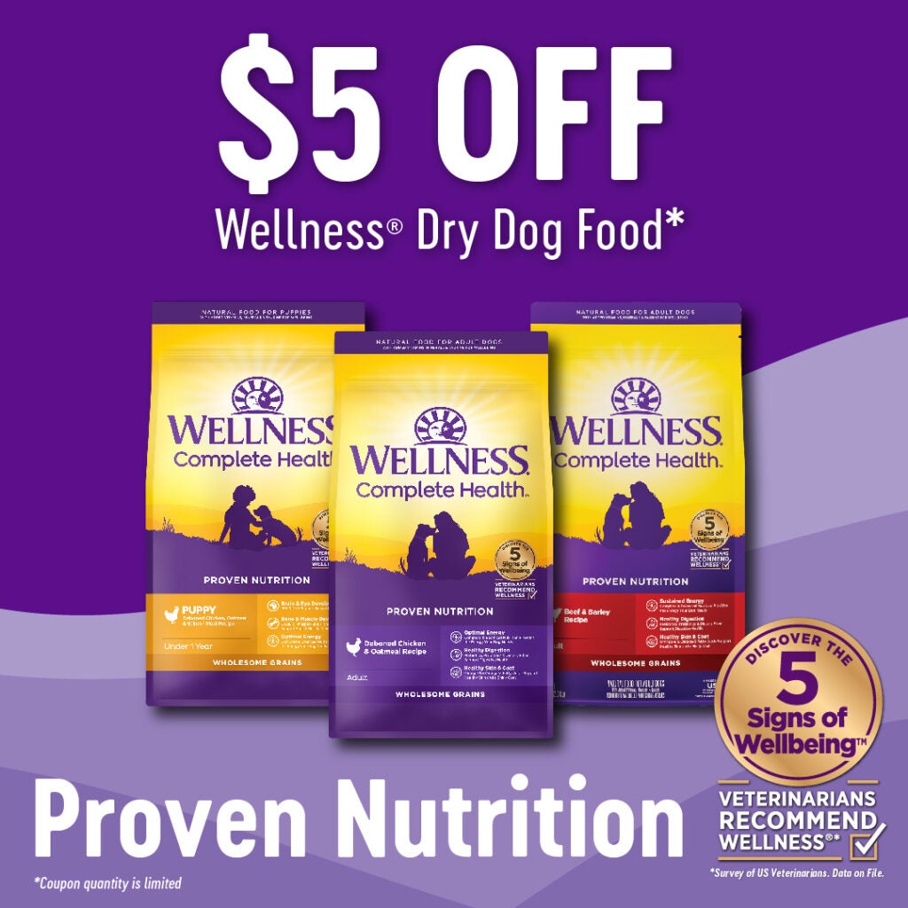 The Importance of Gut Health for Dogs and Cats Wellness Pet Food