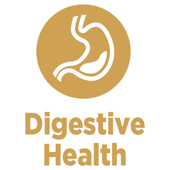 digestive health for pets