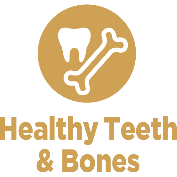 health teeth and bones for pets