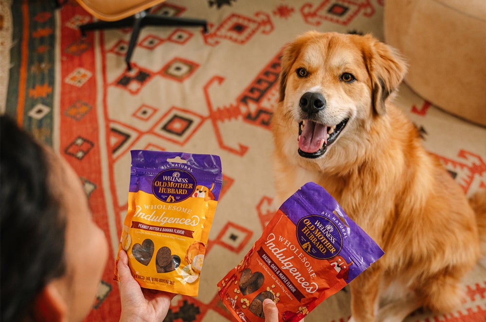 Wellness Complete Health Natural Adult Whitefish and Sweet Potato Recipe Dry Dog Food