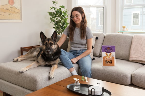 dog siting on couch with treat bag