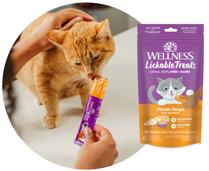 Lickable Treats