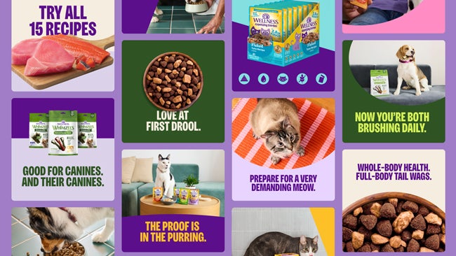 wellness pet food, healthiest pet food, healthiest cat food, healthiest dog food