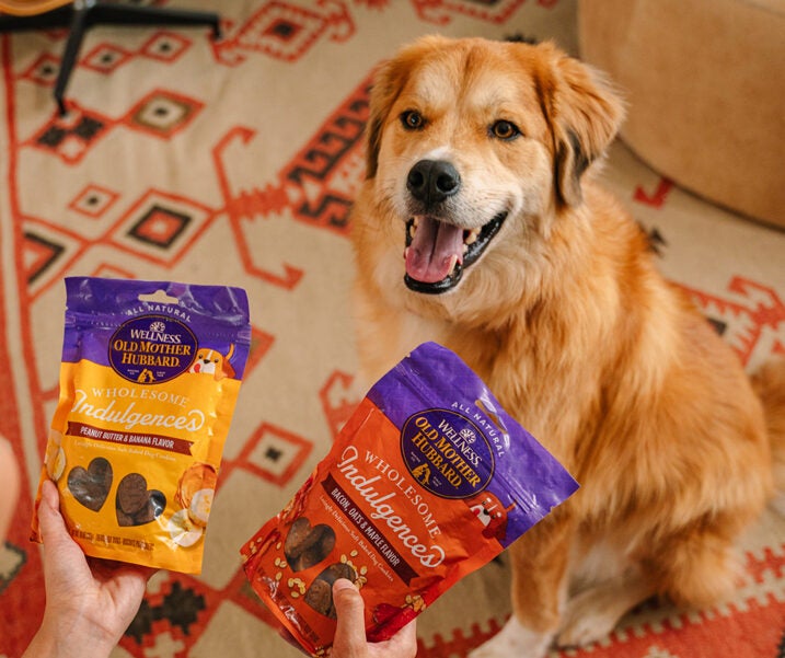 dog being presented with treats, old mother hubbard, dog treats