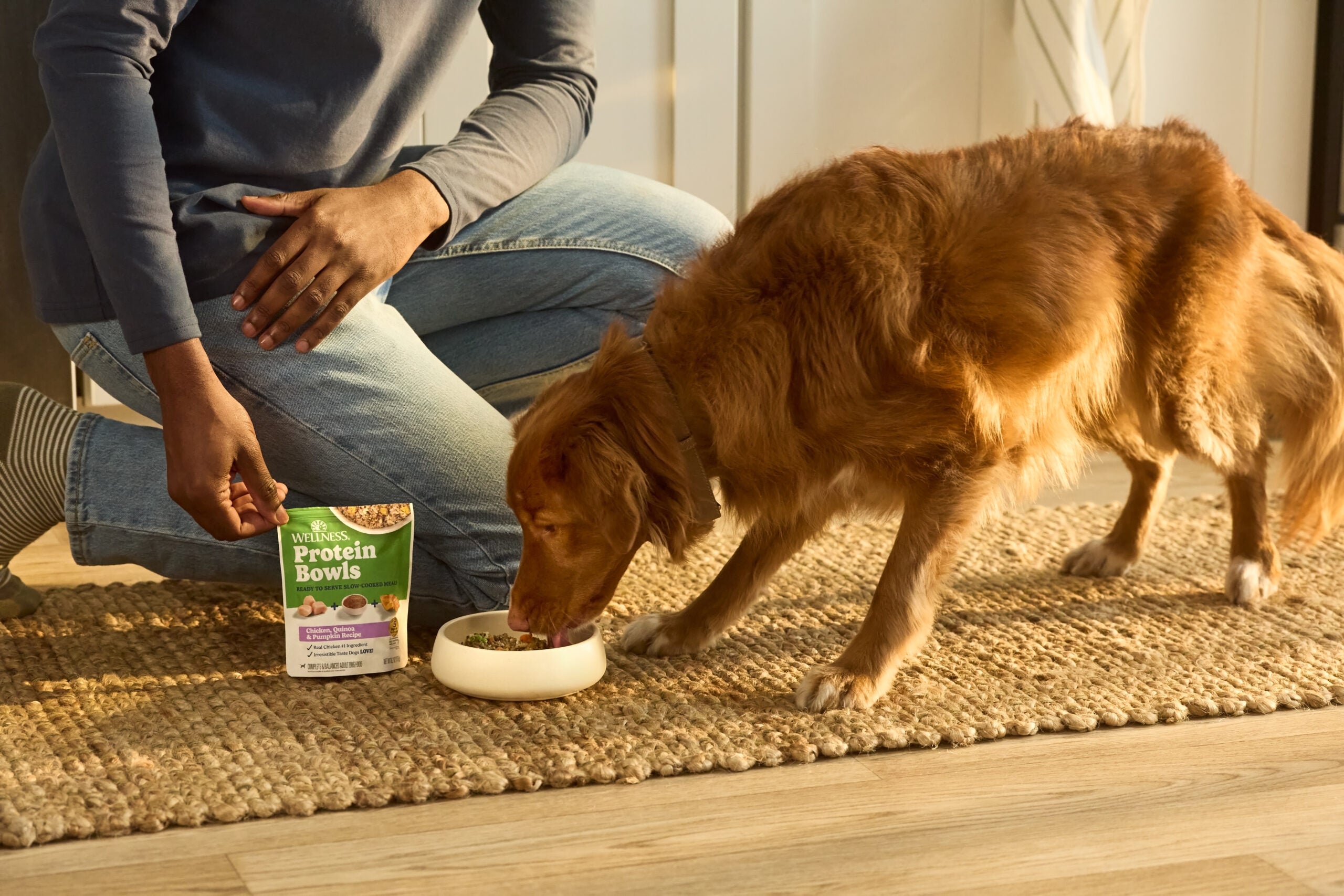 dog eating protein bowl