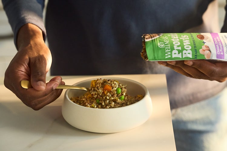 Wellness protein bowls