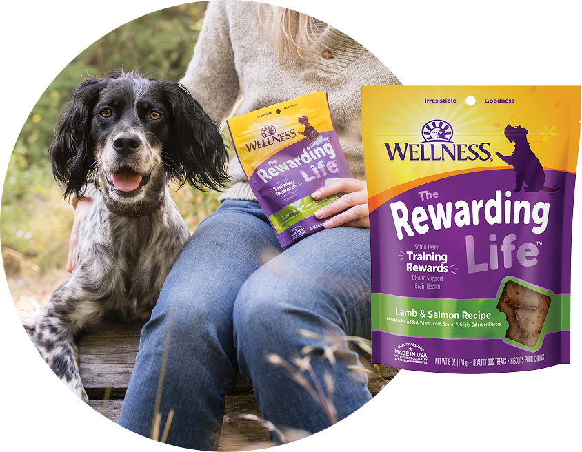 Wellness rewarding life treats 