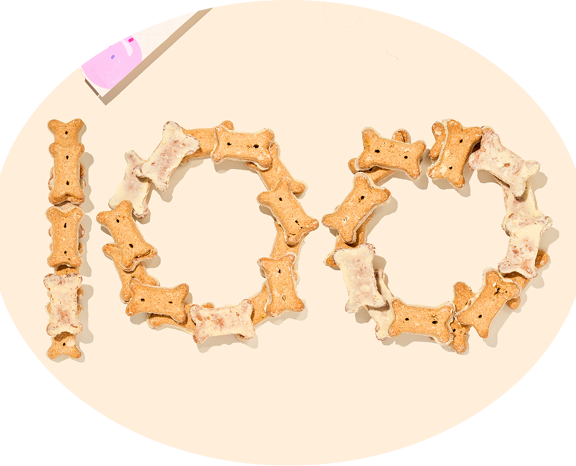 100 IN DOG TREATS