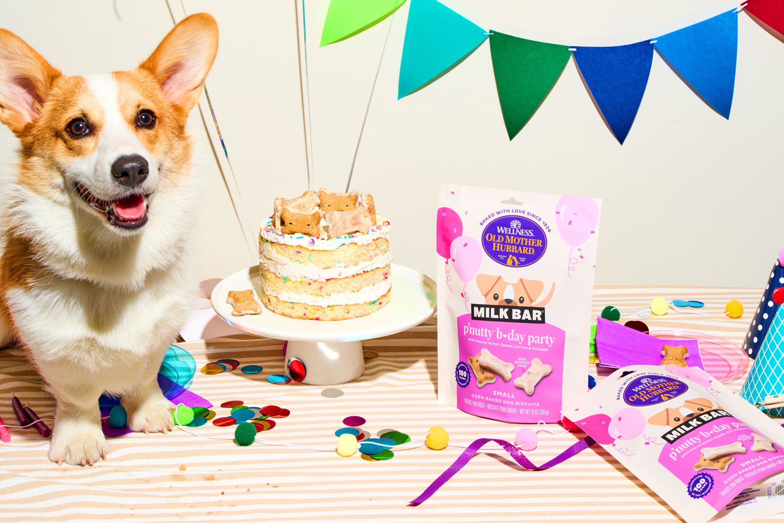 happy dog with cake