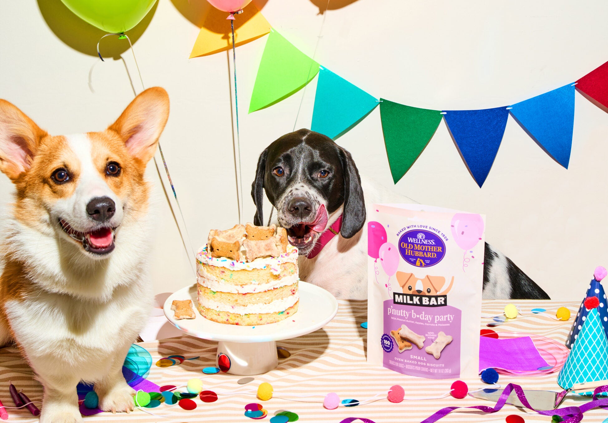 happy dogs with cake