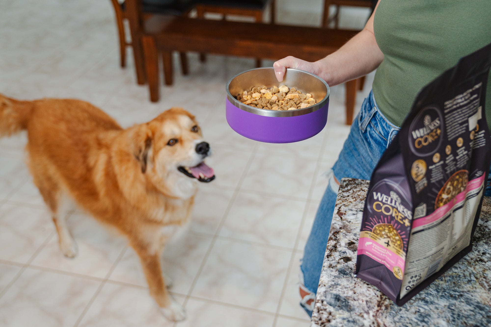 dog looking at sensitive skin and stomach food