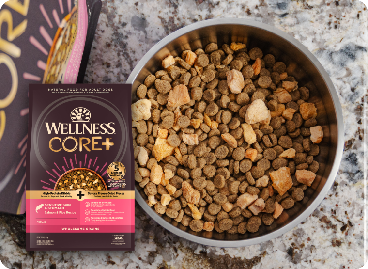 Wellness CORE+ sensitive skin and stomach food
