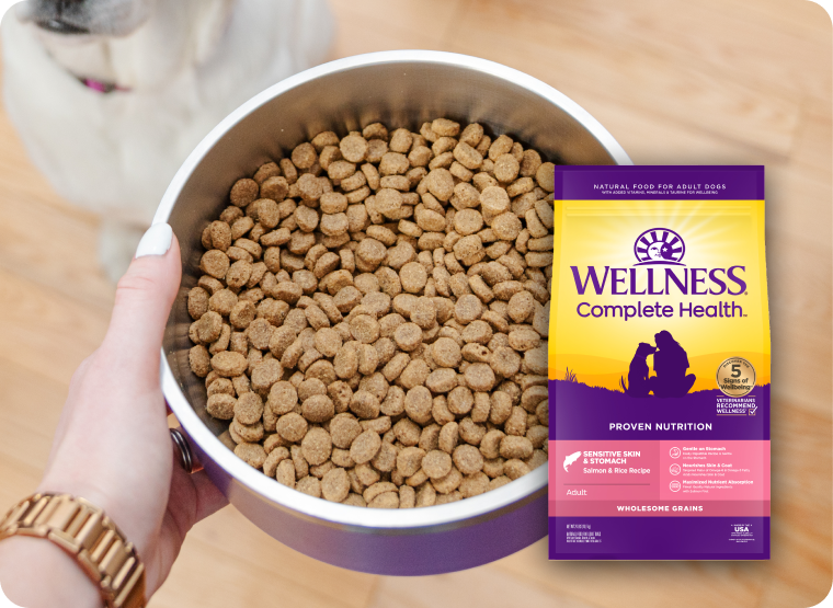 Wellness Complete health sensitive skin and stomach food