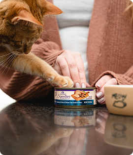 Adult cat with Wellness signature selects